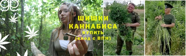 прущий лед Лиски