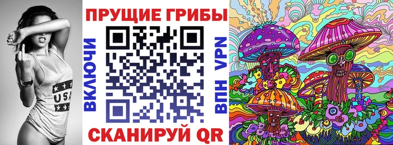 блэк спрут как зайти  Юрга  Галлюциногенные грибы Psilocybe 