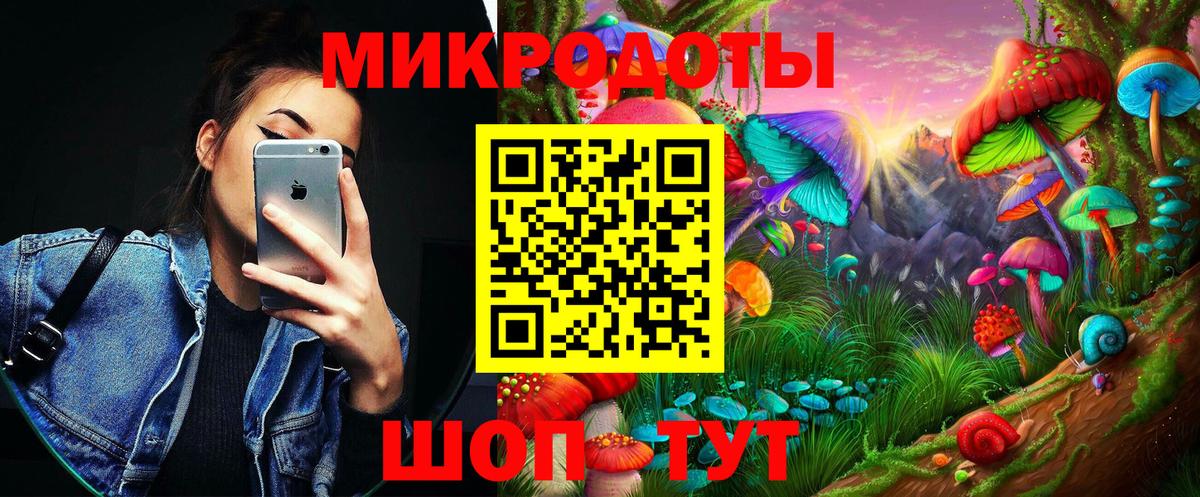 Псилоцибиновые грибы Psilocybe  Вход с VPN  Юрга 