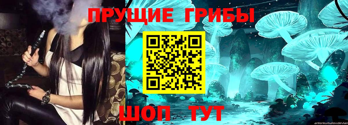 Галлюциногенные грибы прущие грибы Юрга